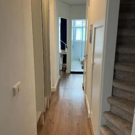 Modern Near